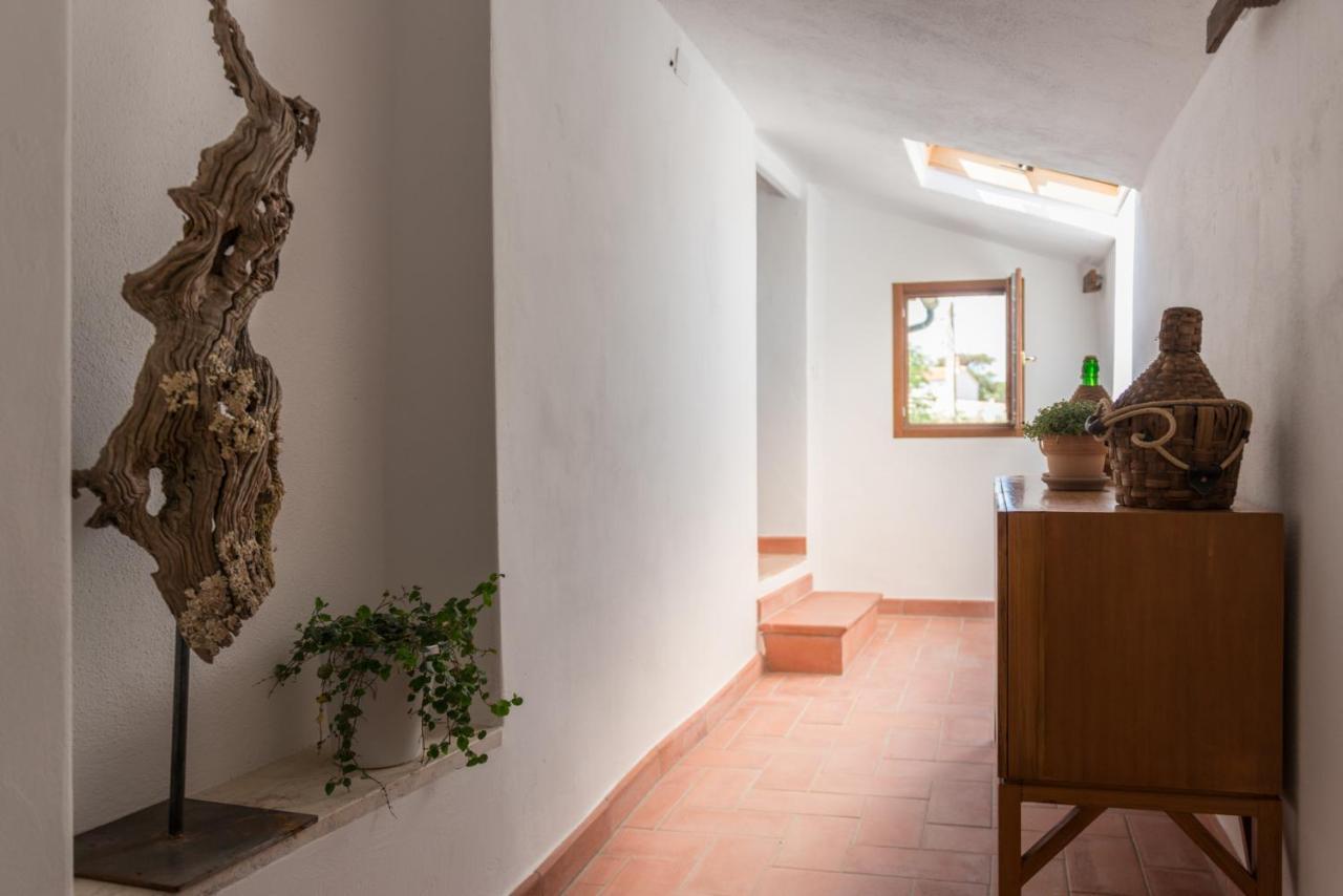 Agriturismo Schiaccia Ghiande 마사마리티마 외부 사진