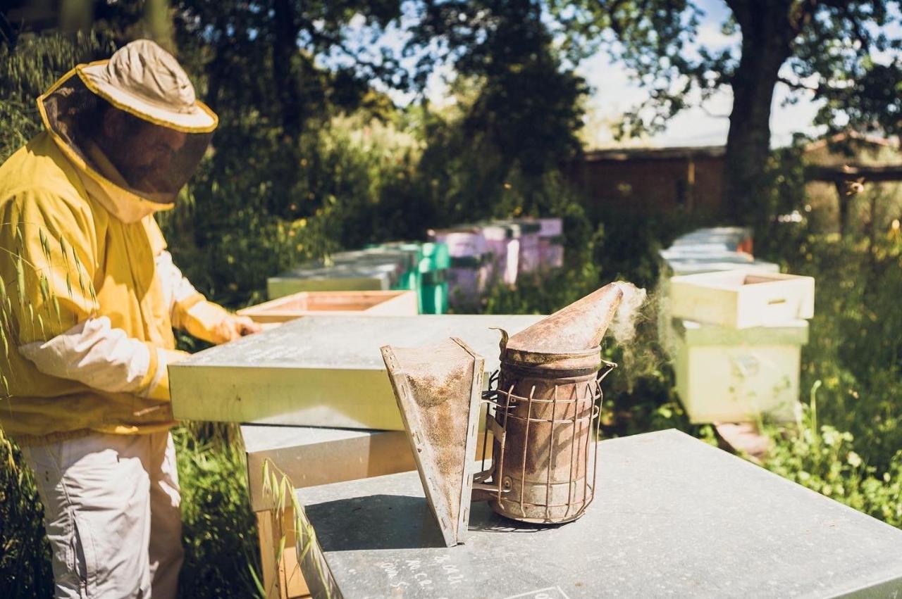 Agriturismo Schiaccia Ghiande 마사마리티마 외부 사진